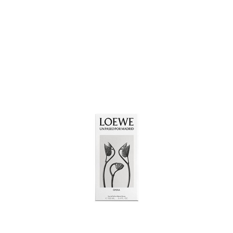 loewe opera en el teatro real