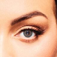 faces كروكدايل جرين زينة