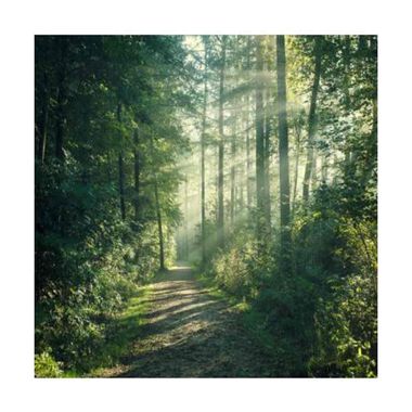 faces قناع العناية المتجددة يهدئ ويدعم البشرة المتهيجة أثناء التجدد