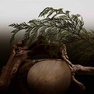 هيرو بارفان faces هيرو بارفان