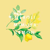 faces مزيج الزيوت العطرية هابينيس