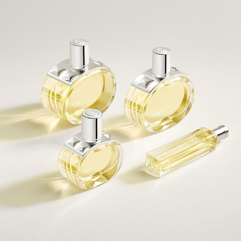 hermes barenia