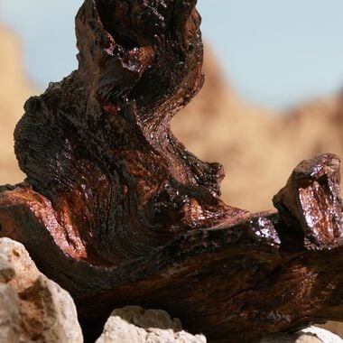 faces عطر كيه إلكسير