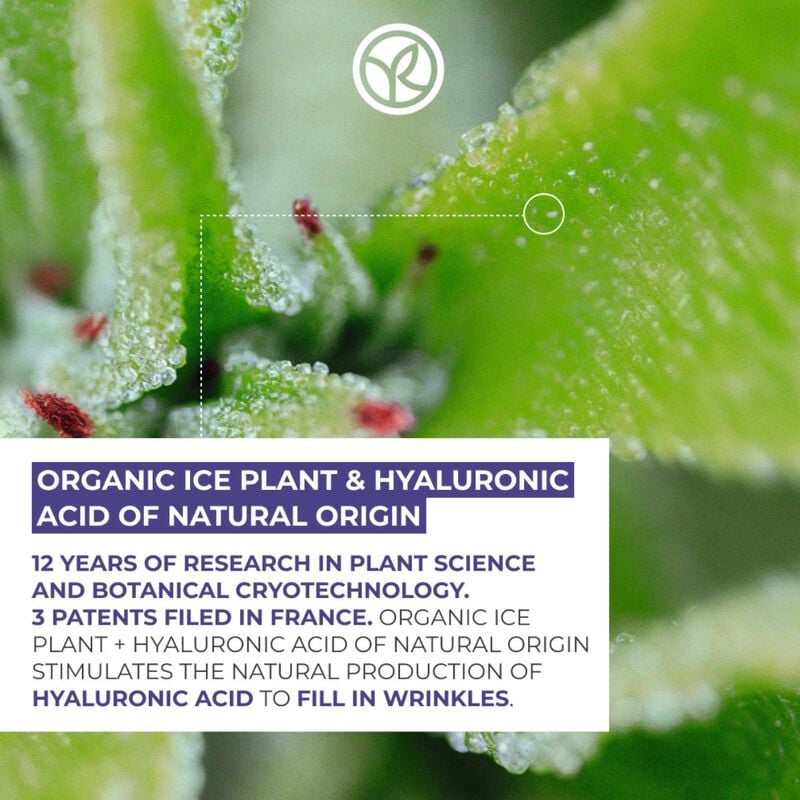 yves rocher filler vegetal grand soin 75ml