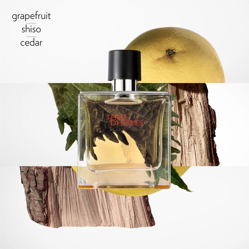 hermes terre d'hermes parfum