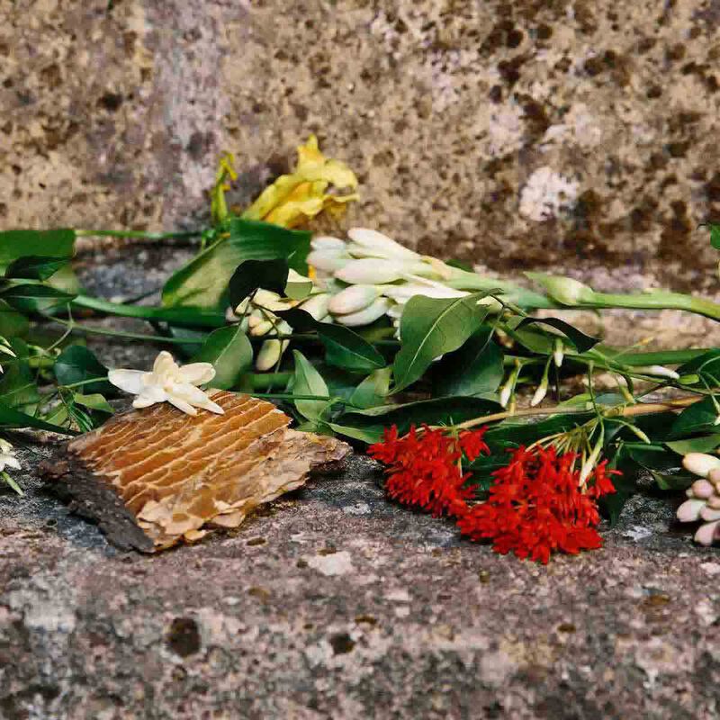 gucci bloom profumo di fiori eau de parfum