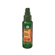 faces smoothing fluid heat protective with rice peptides for unruly hair
