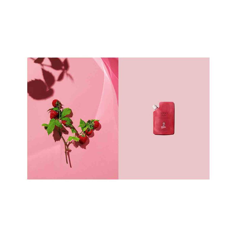 shiseido jsa waso reset cleanser squad