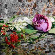 faces gucci bloom ambrosia di fiori intense for her eau de parfum