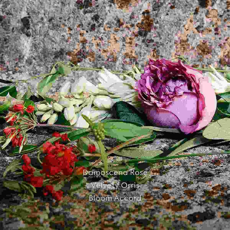 Gucci Bloom Ambrosia di Fiori Intense For Her Eau de Parfum gucci gucci bloom ambrosia di fiori intense for her eau de parfum