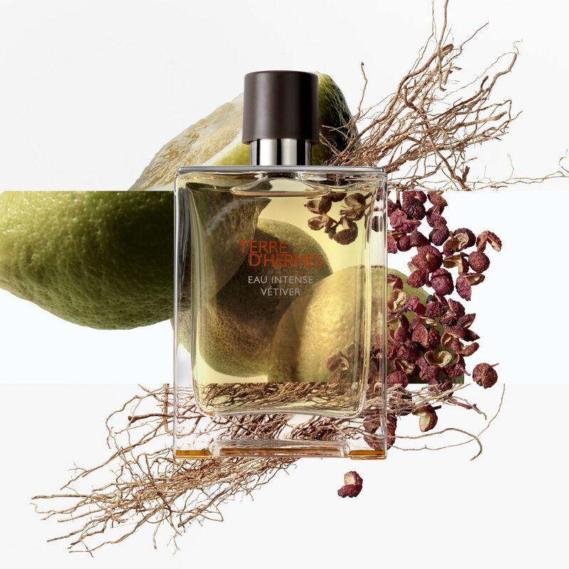 hermes terre d'hermes eau intense vetiver eau de parfum