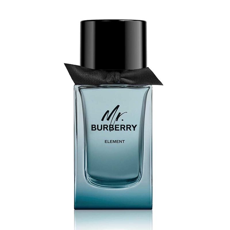 Burberry Mr. Burberry Element Eau de Toilette burberry burberry mr. burberry element eau de toilette