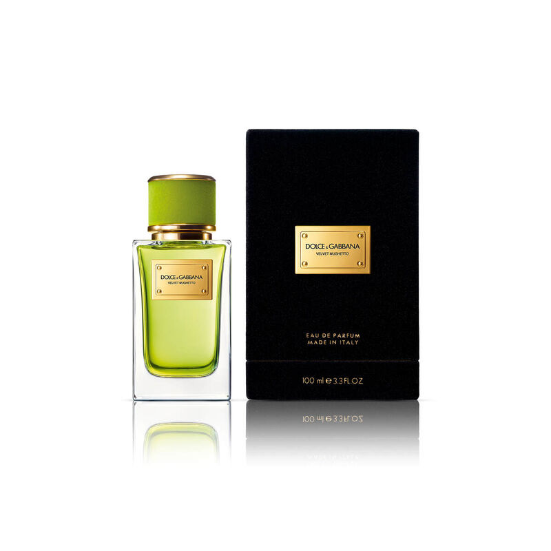 dolce & gabbana velvet mughetto