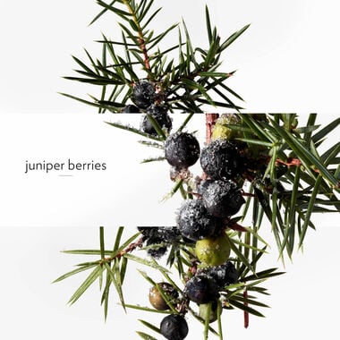 faces terre d herm s eau givr e eau de parfum