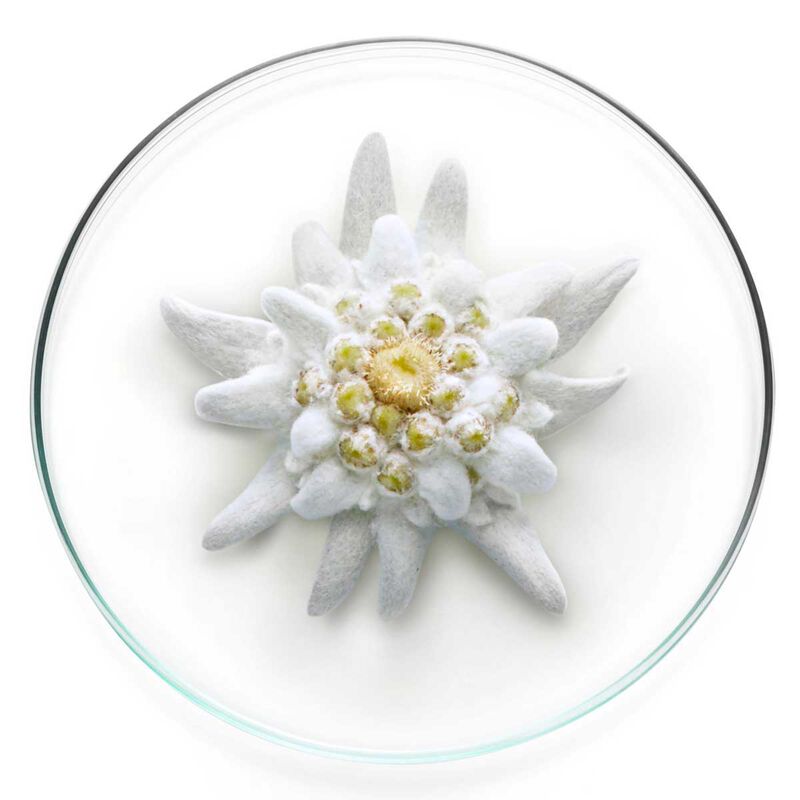 lancome expert aqua gel spf 53