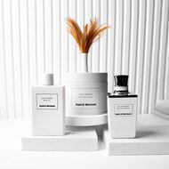 Lily Musk Collection faces lily musk collection