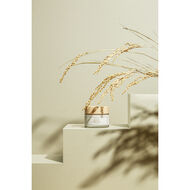 مرطب رايس faces مرطب رايس