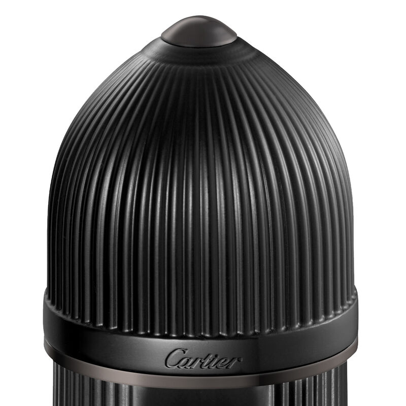 Pasha Noir Absolu cartier pasha noir absolu