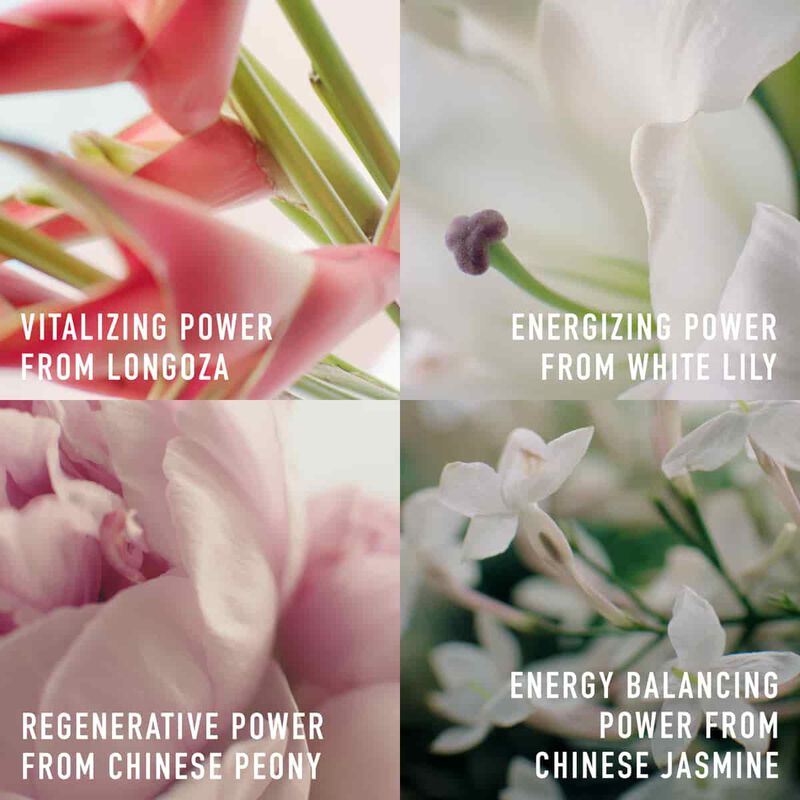 dior capture totale highperformance gentle cleanser