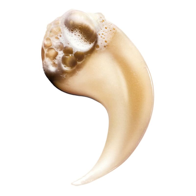 loreal professionnel absolut repair shampoo