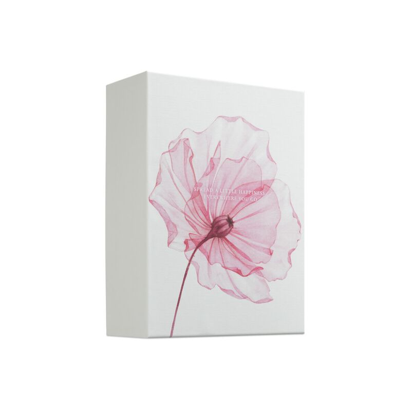 ريتوالز مجموعة ذا ريتوال أوف ساكورا كبير