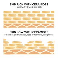 CERAMIDE ADV DLY YRS 90PC CAPS faces ceramide adv dly yrs 90pc caps