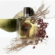 faces عطر هيرمس تيري دي هيرمس انتنس فيتفير او دو بارفيوم 200 مل