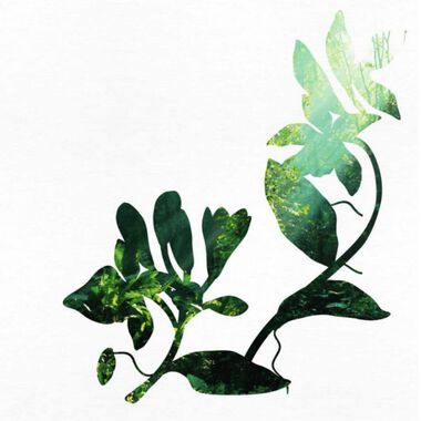 Bourbon Vanilla Escape Body Lotion faces bourbon vanilla escape body lotion