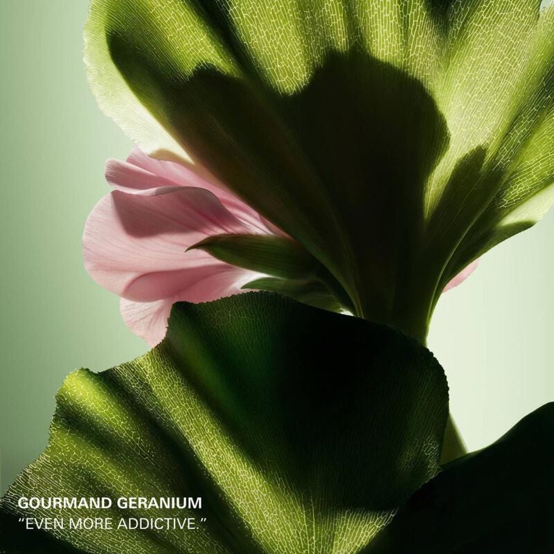 prada paradigme le parfum 100ml