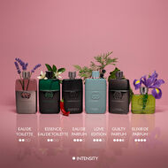 غيلتي لاف إيديشن faces غيلتي لاف إيديشن