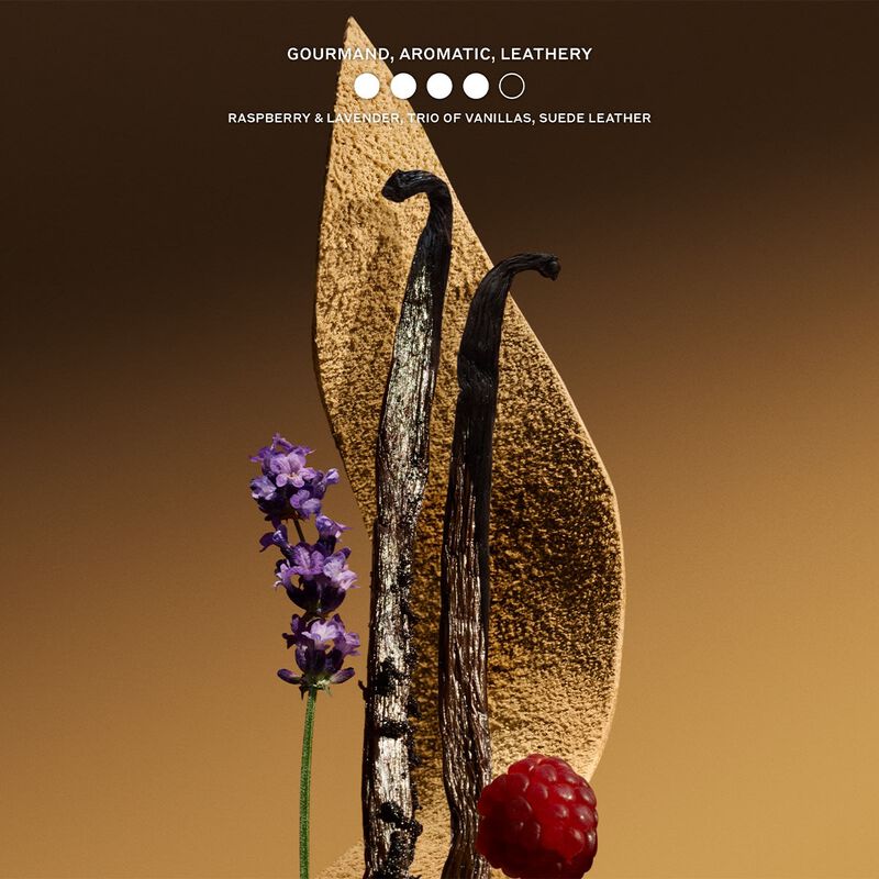 burberry gold parfum