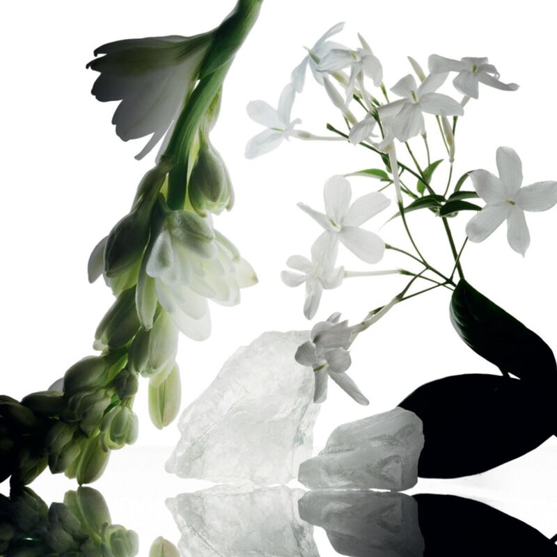 narciso rodriguez essential musc  wild tuberose