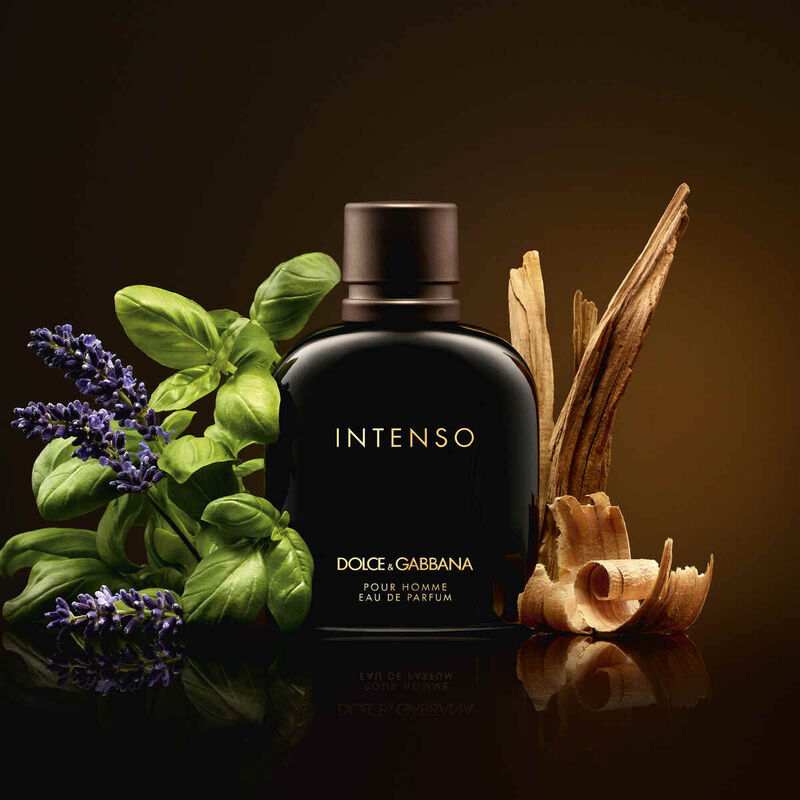 dolce & gabbana intenso