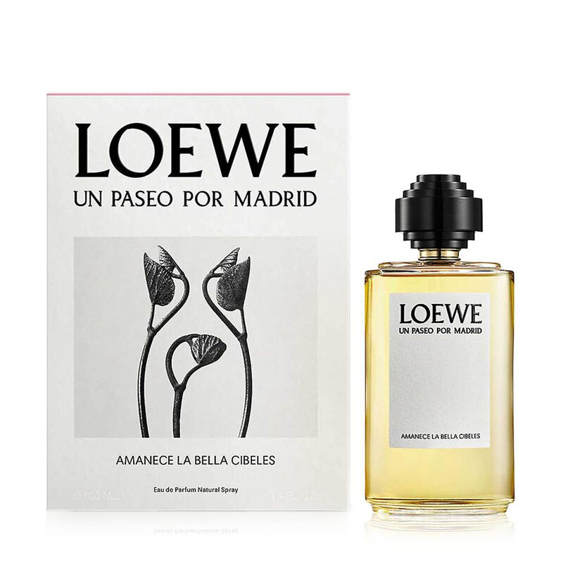 loewe amanece la bella cibeles
