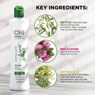 faces chi powerplus exfollate shampoo 12oz