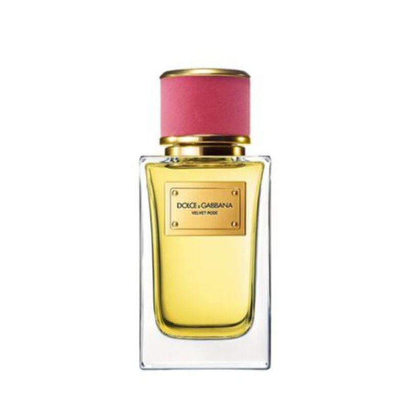Velvet Rose dolce & gabbana velvet rose