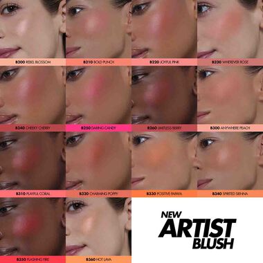 faces artist face powder  blush