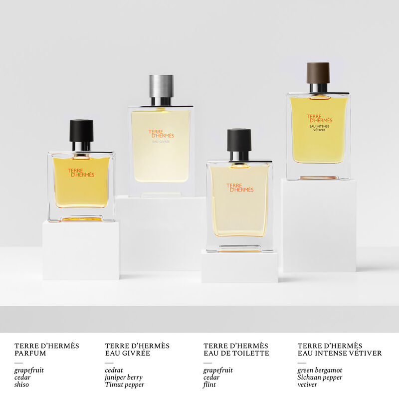 hermes terre d'hermes eau intense vetiver eau de parfum