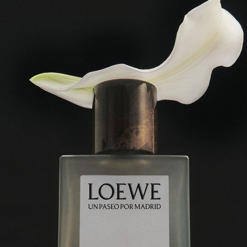 loewe opera en el teatro real