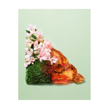 faces بارادوكس إنتنس