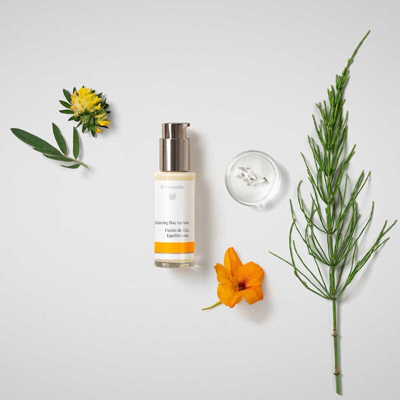 Balancing Day Lotion dr hauschka balancing day lotion