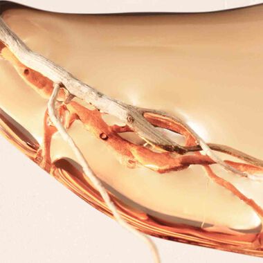 faces boss alive eau de parfum intense