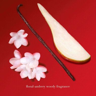 faces سي باشن انتنس إعادة تعبئة