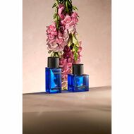 Amber Room Gift Set 50ml faces amber room gift set 50ml