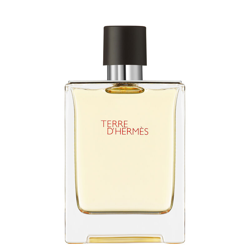 hermes terre d'hermes eau de toilette