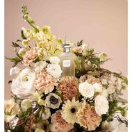 Teint de Neige faces teint de neige