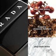 Luna Rossa Black Eau de Toilette 50ml faces luna rossa black eau de toilette 50ml