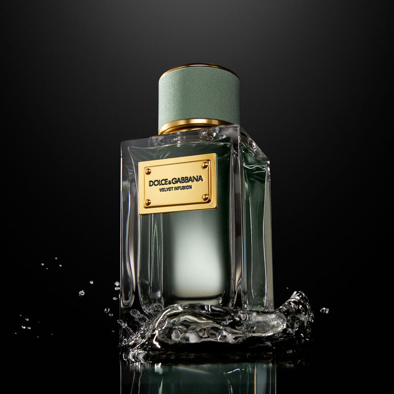 dolce & gabbana velvet infusion