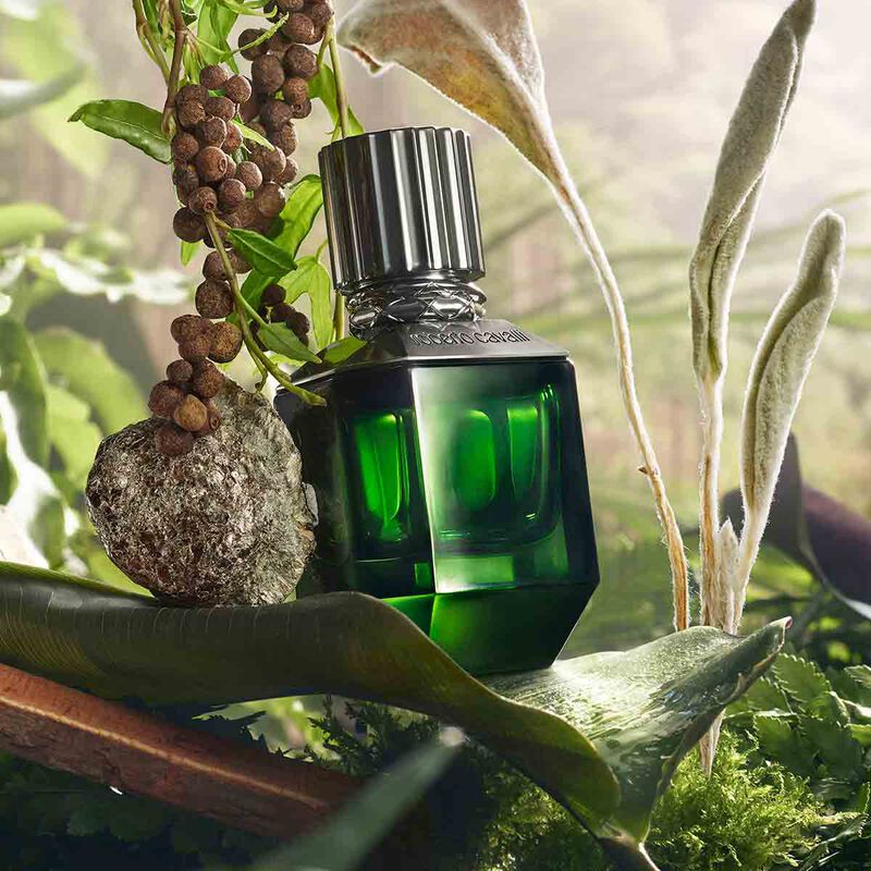 روبرتو كافالي بارادايس فاوند للرجال أو  دو تواليت