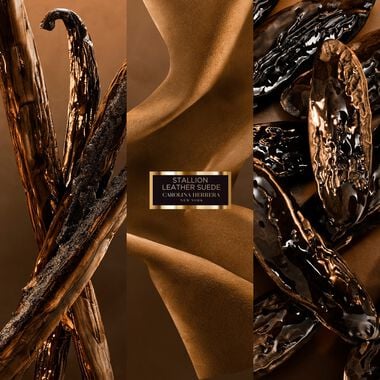 faces ستاليون ليذر سويد